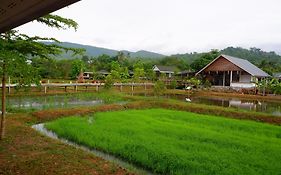 Nok Chan Mee Na